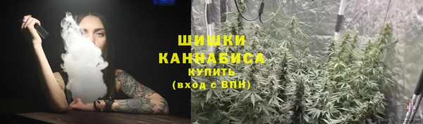 ГАЛЛЮЦИНОГЕННЫЕ ГРИБЫ Осинники