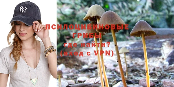 винт Остров