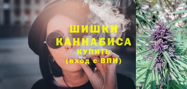 ГАЛЛЮЦИНОГЕННЫЕ ГРИБЫ Осинники