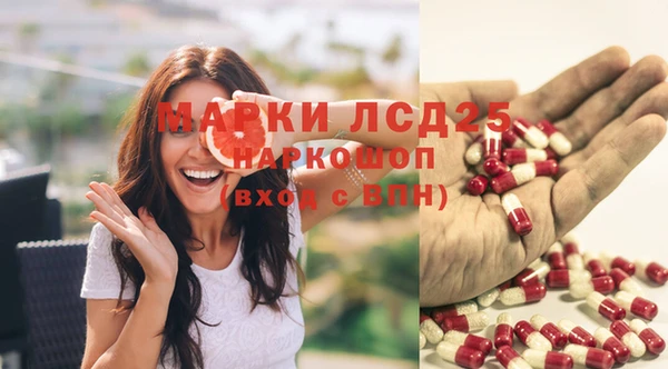 ГАЛЛЮЦИНОГЕННЫЕ ГРИБЫ Осинники