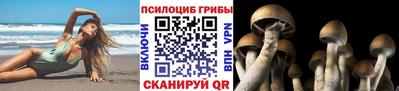 Псилоцибиновые грибы GOLDEN TEACHER  что такое   Иноземцево 